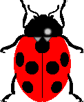 Ladybug