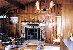 Our stone fireplace, kitchen and living room